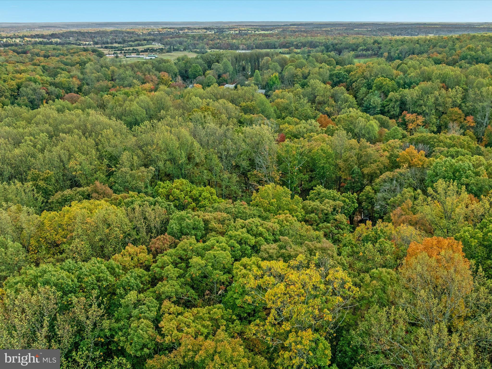 7261 Baldwin Ridge Road Warrenton, VA 20187 - Photo 67 of 76 an aerial view of residential houses with outdoor space and trees