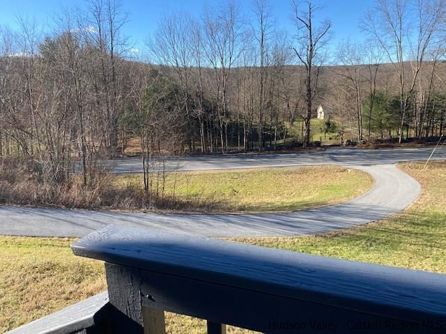 446 Cold Spring Road Stanfordville, NY 12581 - Photo 30 of 32 Photo 30