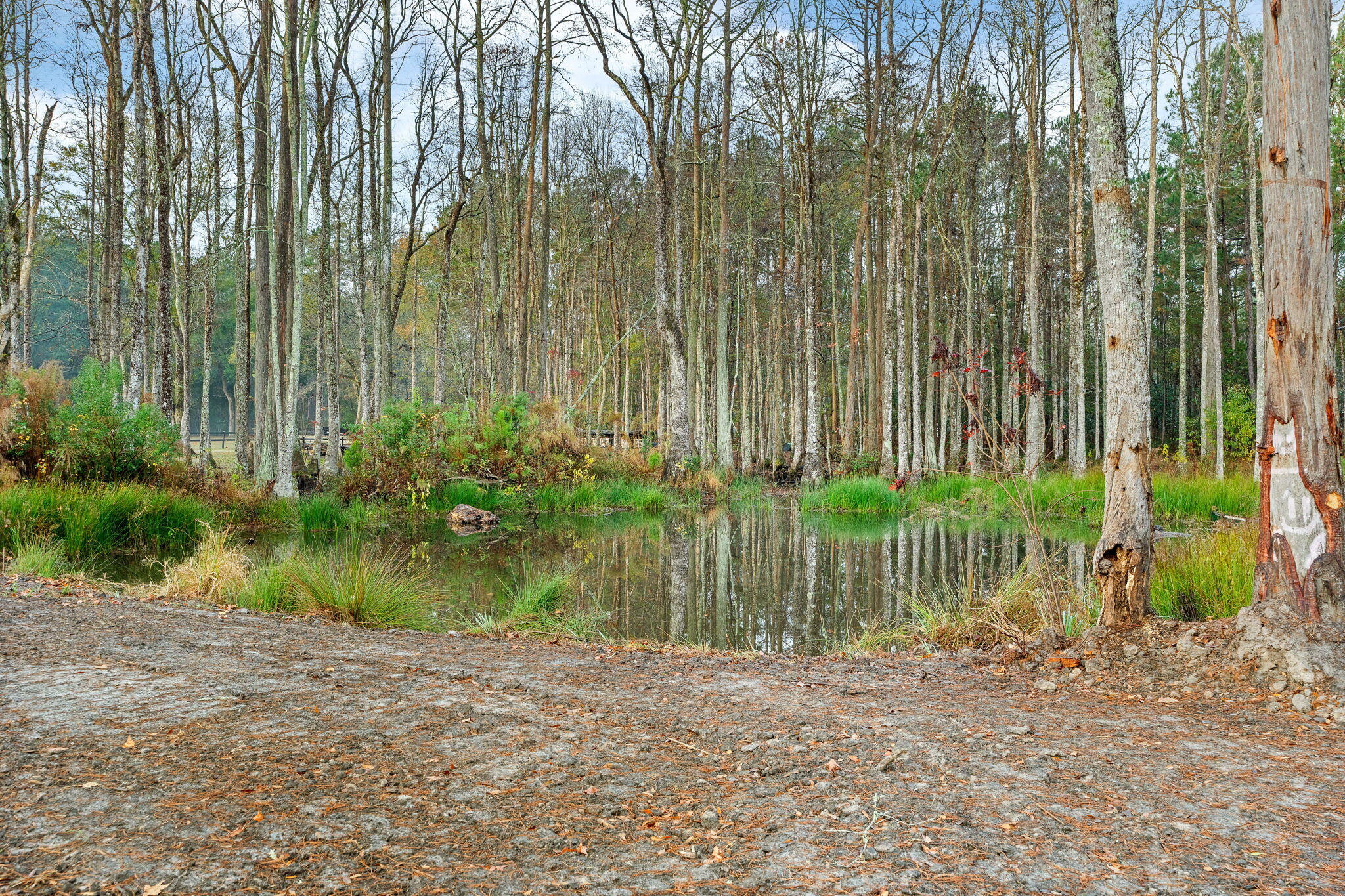 159 Danielle Way Jamestown, SC 29453 - Photo 25 of 29 22-web-or-mls-Barclay Media Co -23