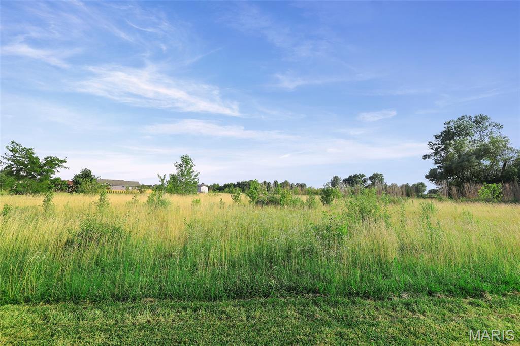 9710 Hosto Road Worden, IL 62097 - Photo 1 of 2