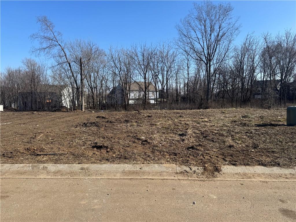 20731 Emerald Street Spring Hill, KS 66083 - Photo 11 of 19