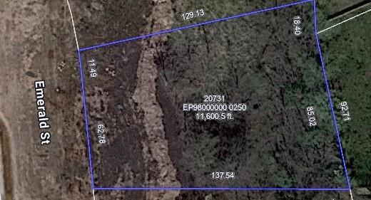 20731 Emerald Street Spring Hill, KS 66083 - Photo 13 of 19