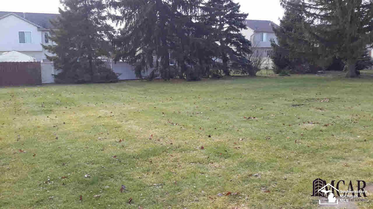 4180 Newport Road Newport, MI 48166 - Photo 12 of 14 Back Yard