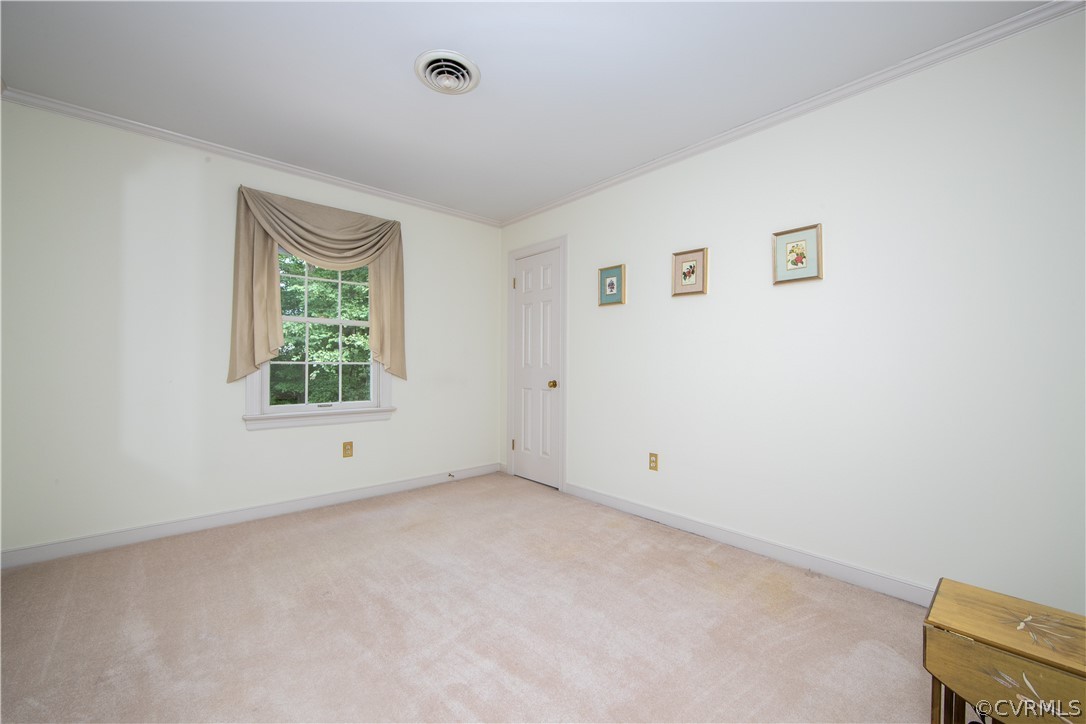 13312 Lady Ashley Road Midlothian, VA 23114 - Photo 19 of 29 Bedroom 3 with carpet and crown molding!