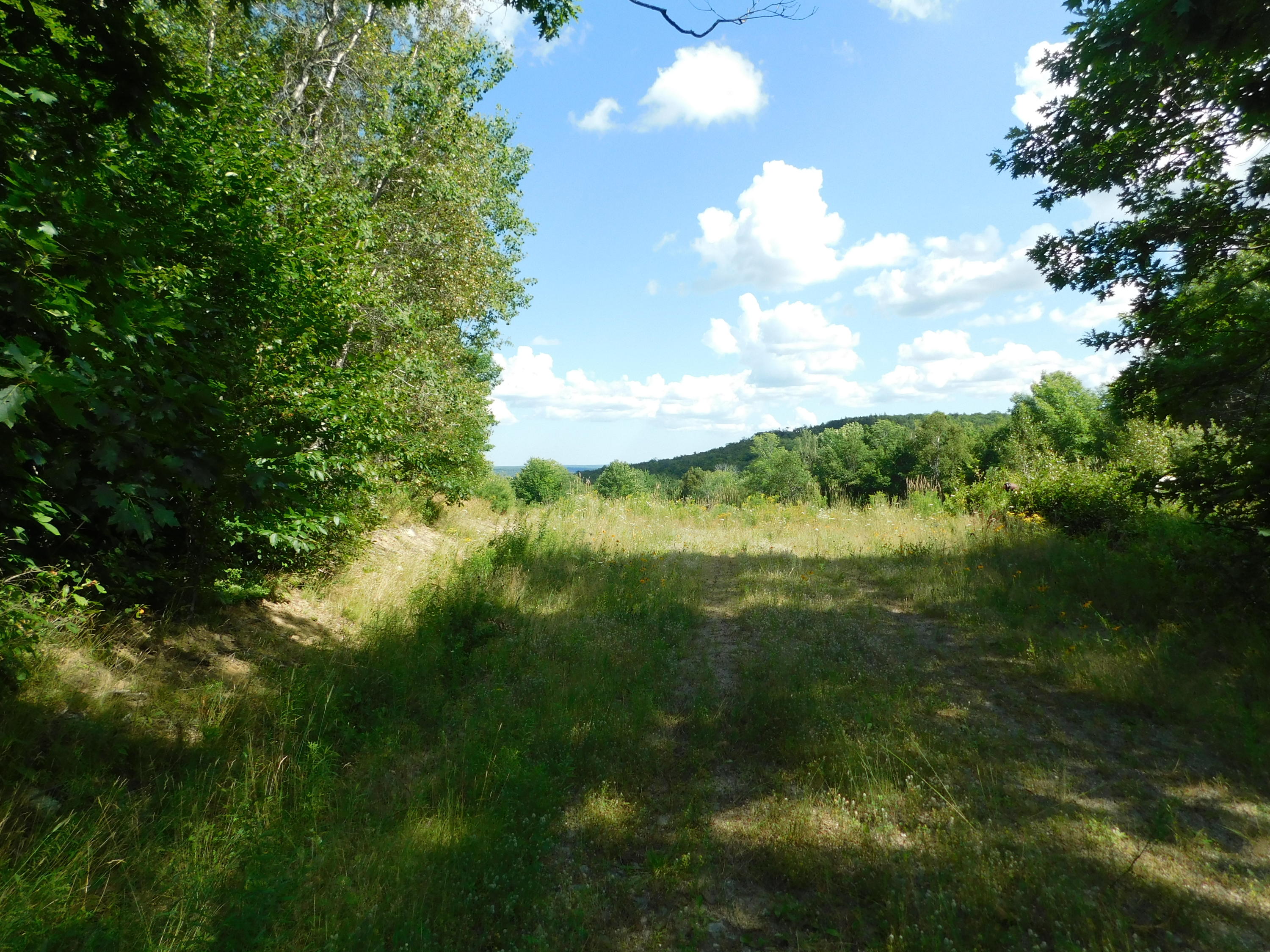 Lot 5 Ranch Hill Drive Dedham, ME 04429 - Photo 8 of 9 DSCN0075