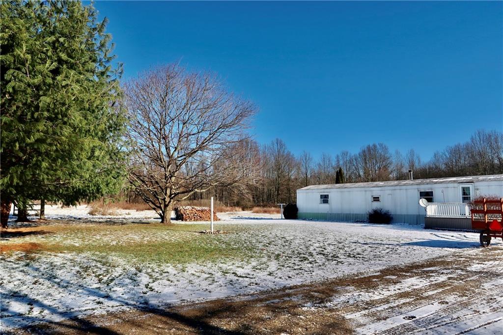 664 Airport Road Mercer, PA 16137 - Photo 20 of 20 a view of yard with tree s