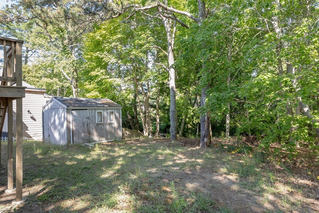 3 A Thompson Road, Unit A Bourne, MA 02532 - Photo 8 of 42 a backyard of a house with lots of plants and tree