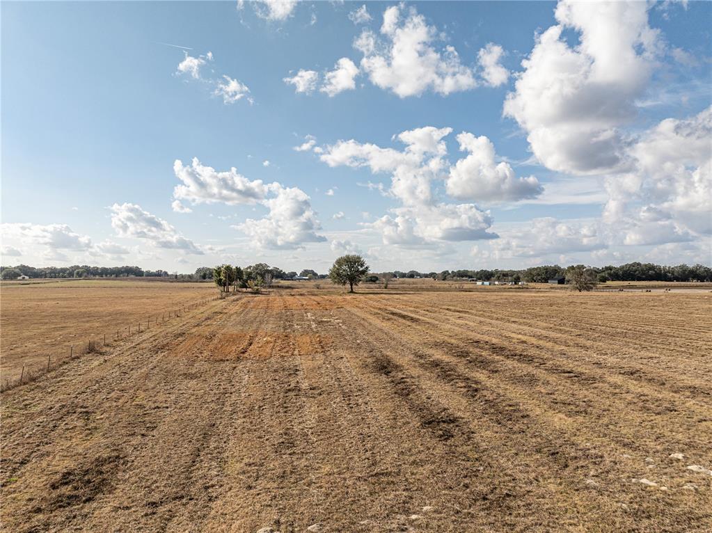 101 County Road Oxford, FL 34484 - Photo 2 of 8