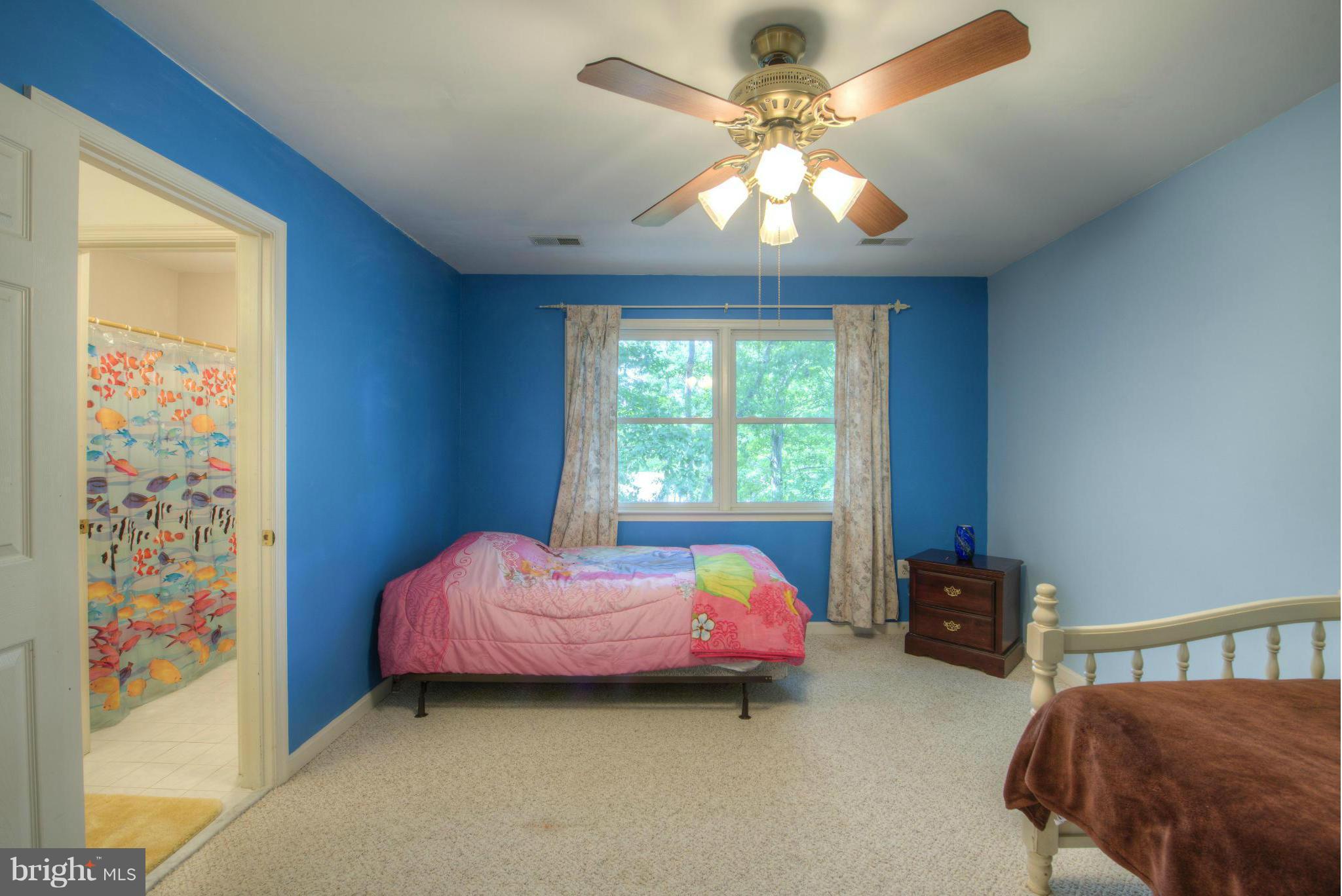 588 Douglas Road Mineral, VA 23117 - Photo 23 of 30 Bedroom 2 w/en-suite
