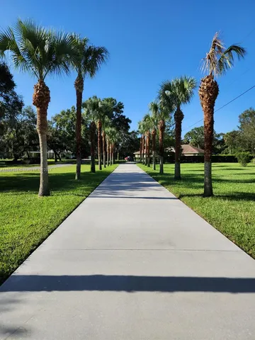a view of park with palm trees