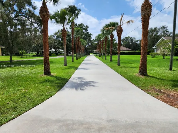a view of a park with palm trees
