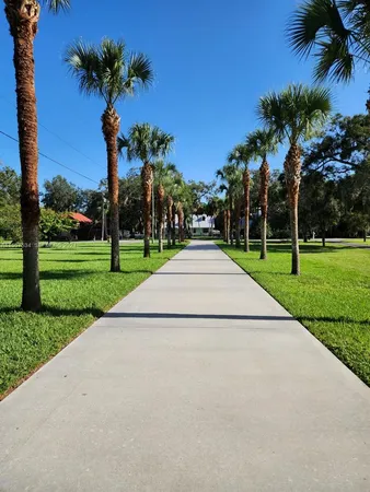 a white house with a yard and palm trees