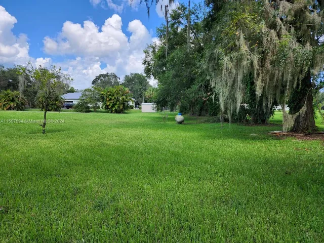 a green field with lots of trees in the background