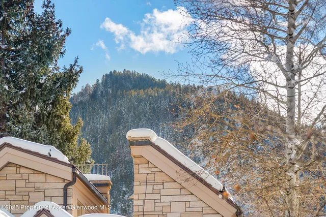 $25,000 | 825 East Hopkins Avenue, Unit 2S, Aspen, CO 81611