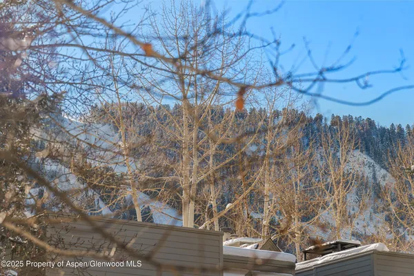 $25,000 | 825 East Hopkins Avenue, Unit 2S, Aspen, CO 81611