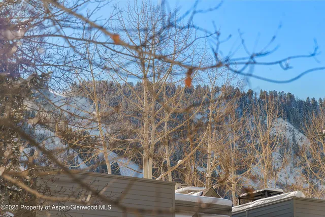 $25,000 | 825 East Hopkins Avenue, Unit 2S, Aspen, CO 81611