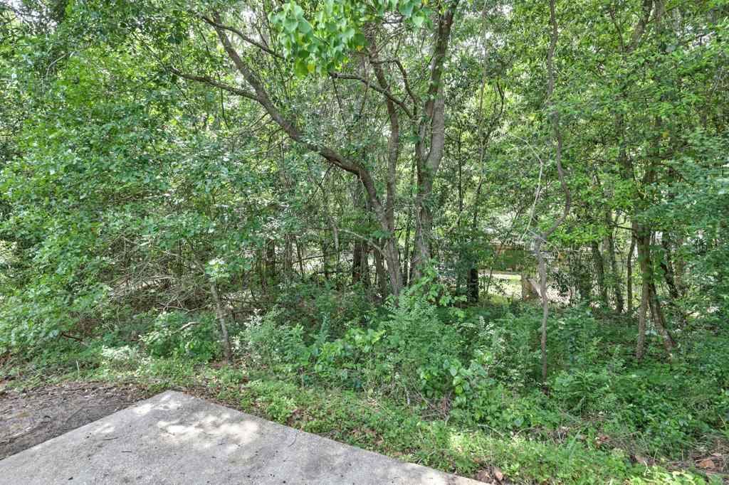 2120 Bullocks Run Road Tallahassee, FL 32303 - Photo 3 of 27 Gallery Image 3