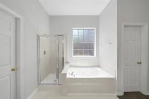 a bathroom with a bathtub and shower