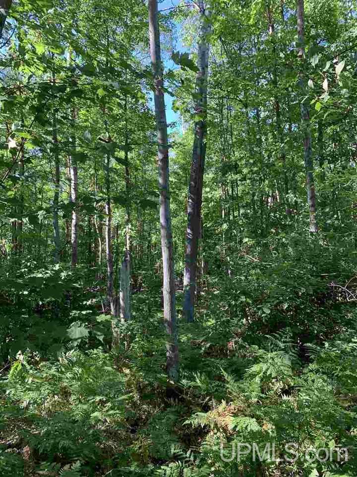 6 Indian Cemetery Road Lanse, MI 49946 - Photo 12 of 16