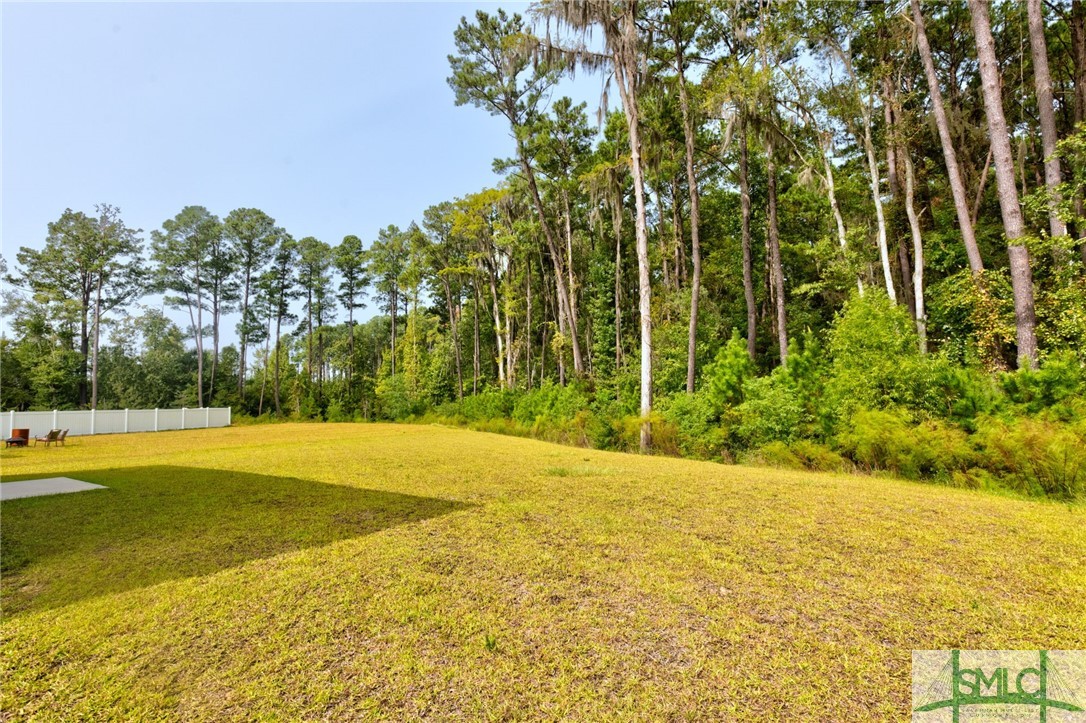 11 Scout Court Savannah, GA 31407 - Photo 28 of 31