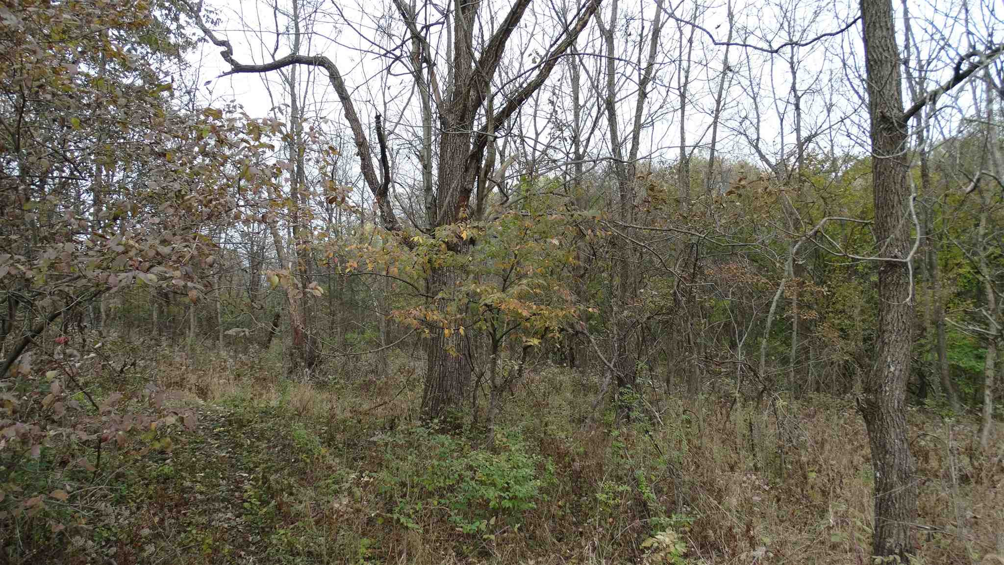 Percival Road Walton, KY 41094 - Photo 8 of 19 Gallery Image 8