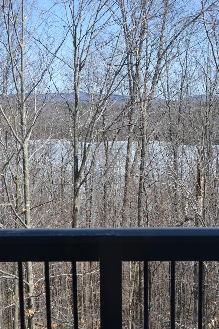 408 Rd Round The Lake Grantham, NH 03753 - Photo 28 of 29