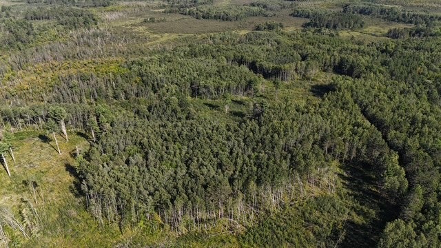 0 Mack Lake Road Trego, WI 54888 - Photo 19 of 26 Gallery Image 19