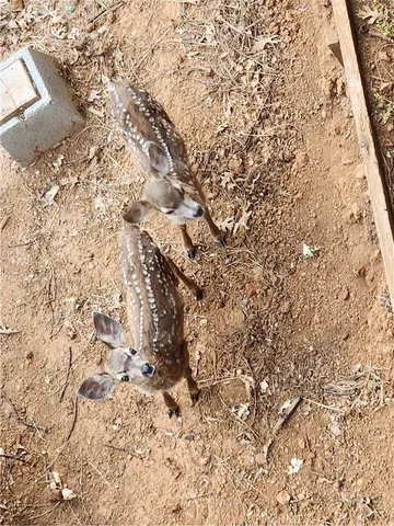 $343,000 | 3062 Riviera Heights Drive, Kelseyville, CA 95451