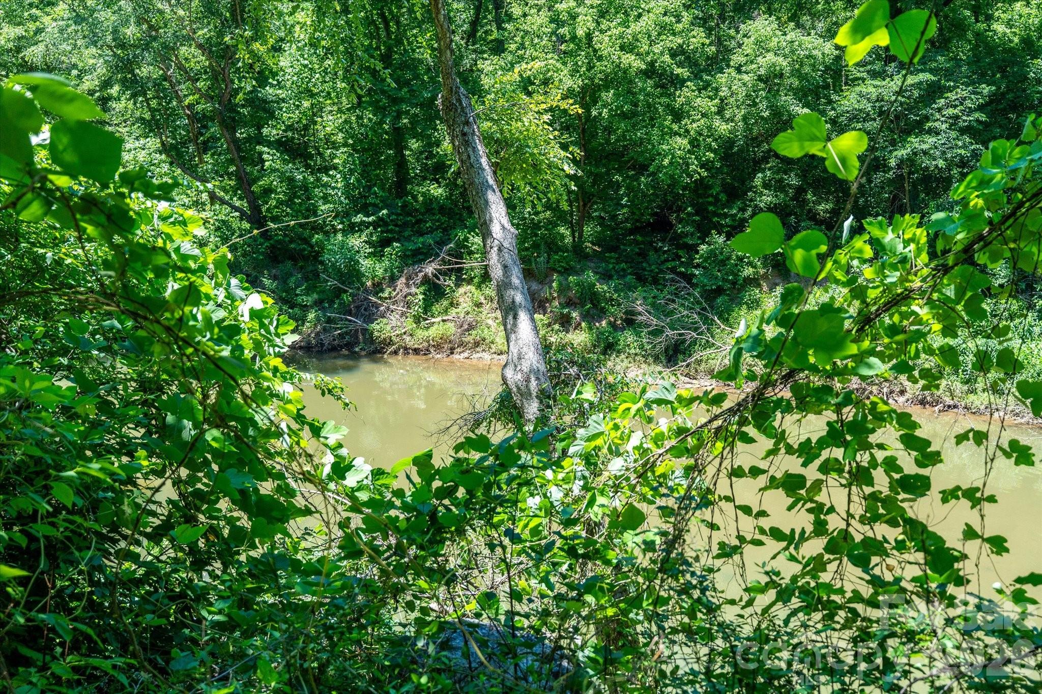 99999 Thompson Lake Road Rutherfordton, NC 28139 - Photo 12 of 24