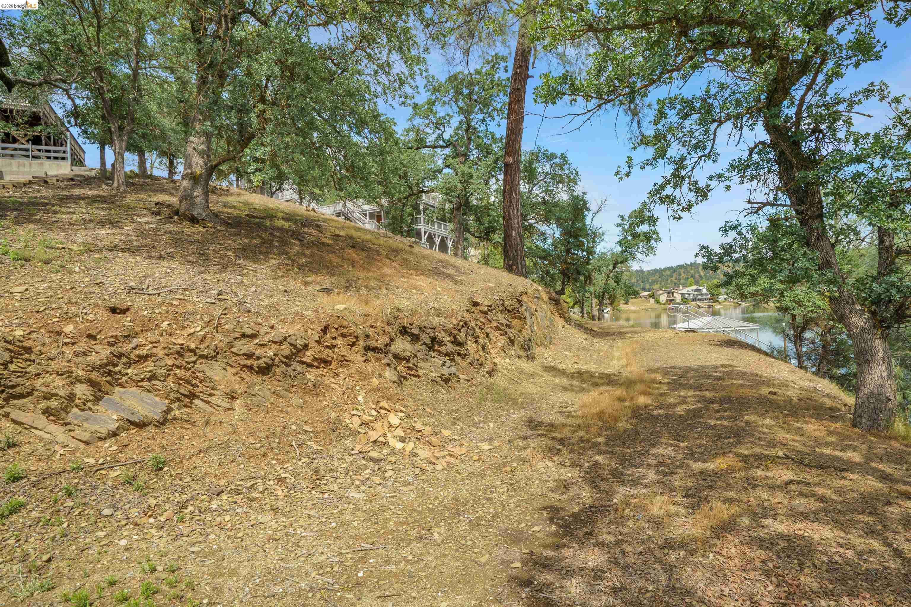 4459 Council Trail Copperopolis, CA 95228 - Photo 7 of 16 a view of a yard with a tree