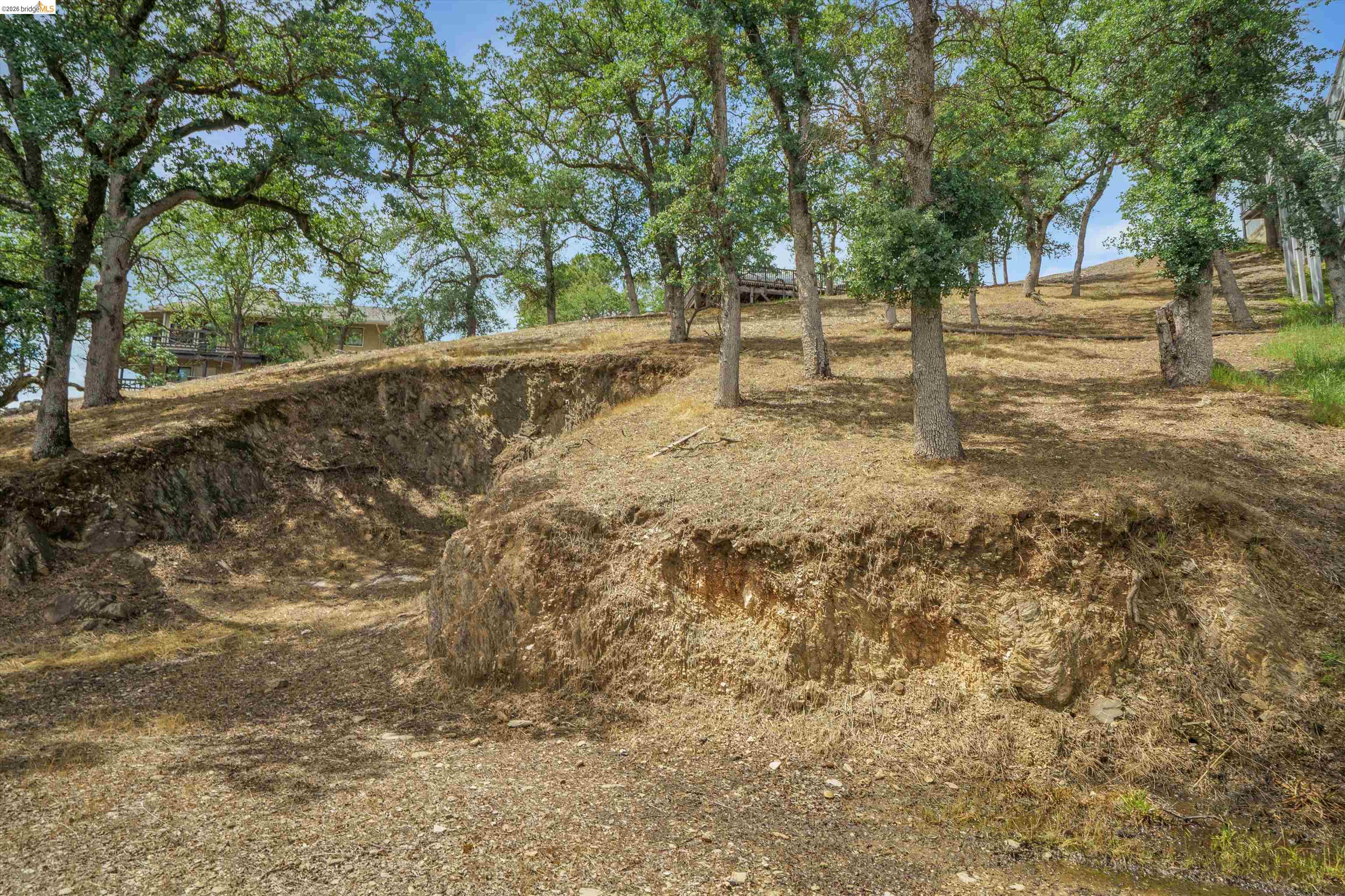 4459 Council Trail Copperopolis, CA 95228 - Photo 8 of 16 a view of yard with trees