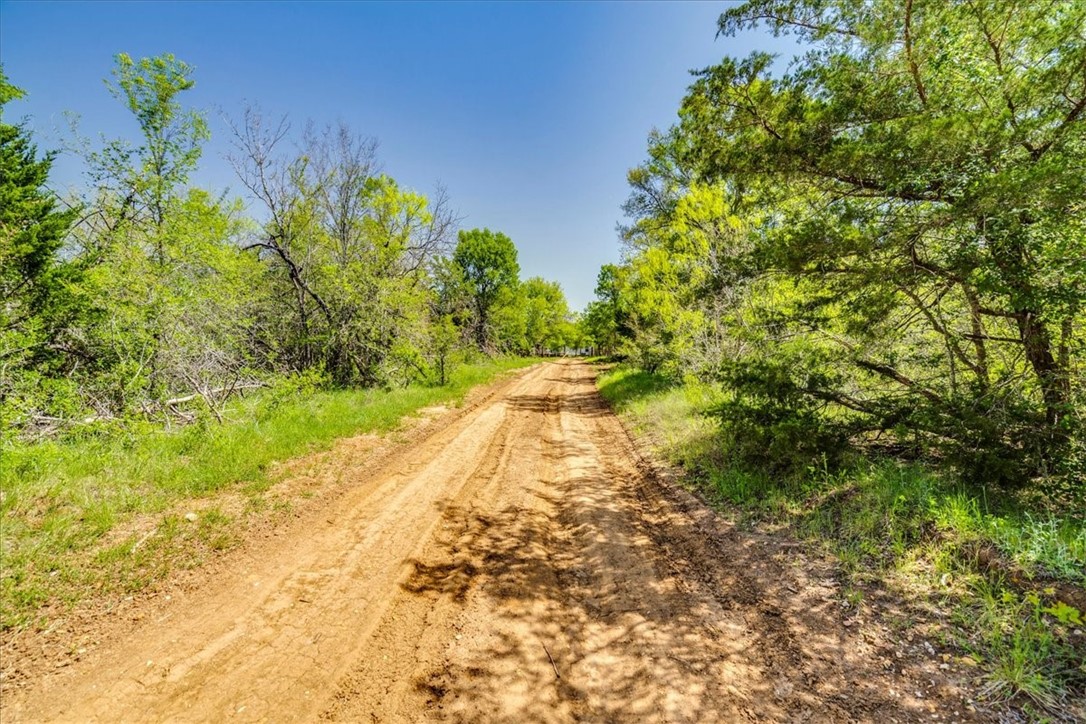 497 Mt Pleasant Road, Unit A Cedar Creek, TX 78612 - Photo 12 of 21 a view of a yard with plants