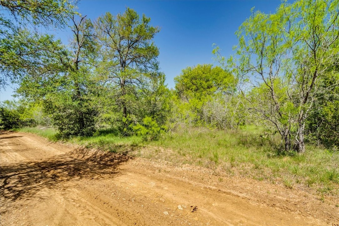 497 Mt Pleasant Road, Unit A Cedar Creek, TX 78612 - Photo 13 of 21 a view of a garden with plants and large trees