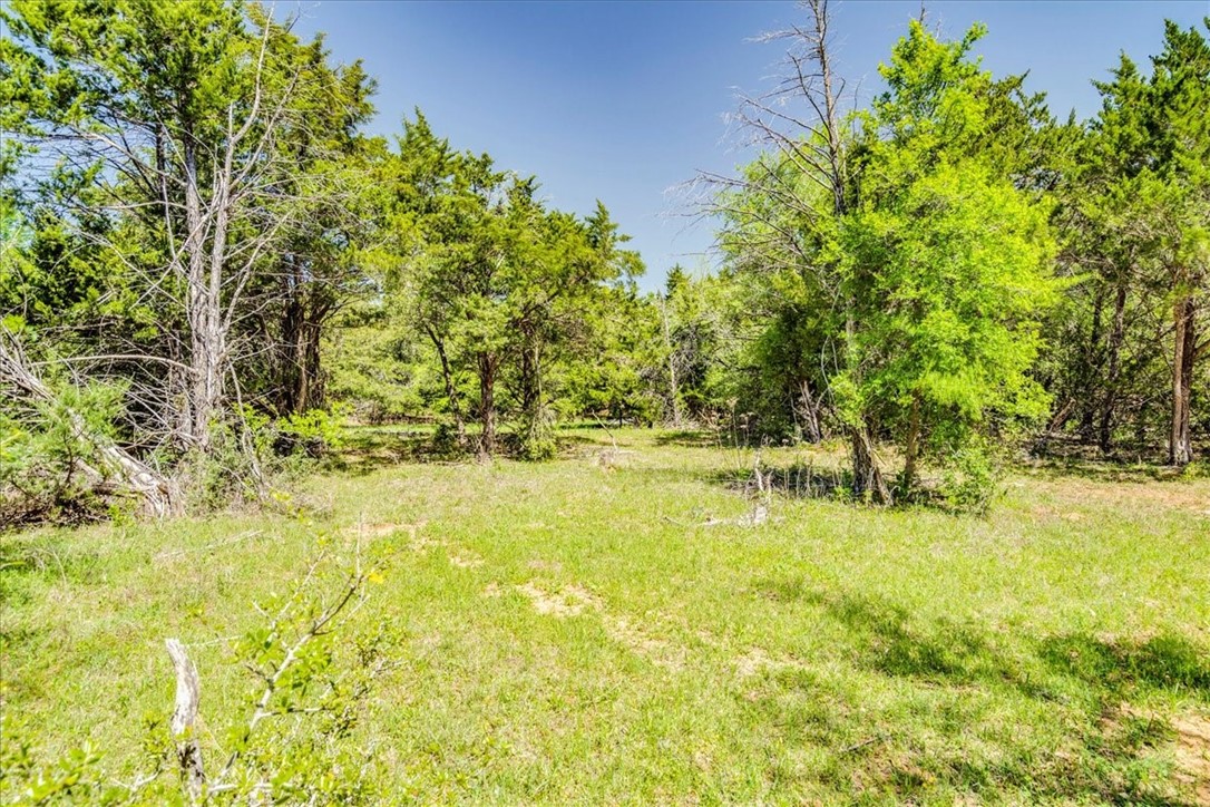497 Mt Pleasant Road, Unit A Cedar Creek, TX 78612 - Photo 14 of 21 a view of yard with tree