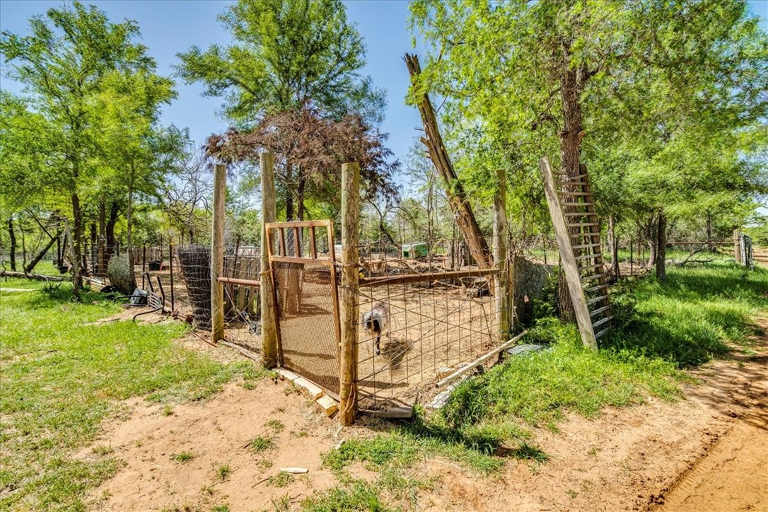 497 Mt Pleasant Road, Unit A Cedar Creek, TX 78612 - Photo 15 of 21 a view of a backyard of the house