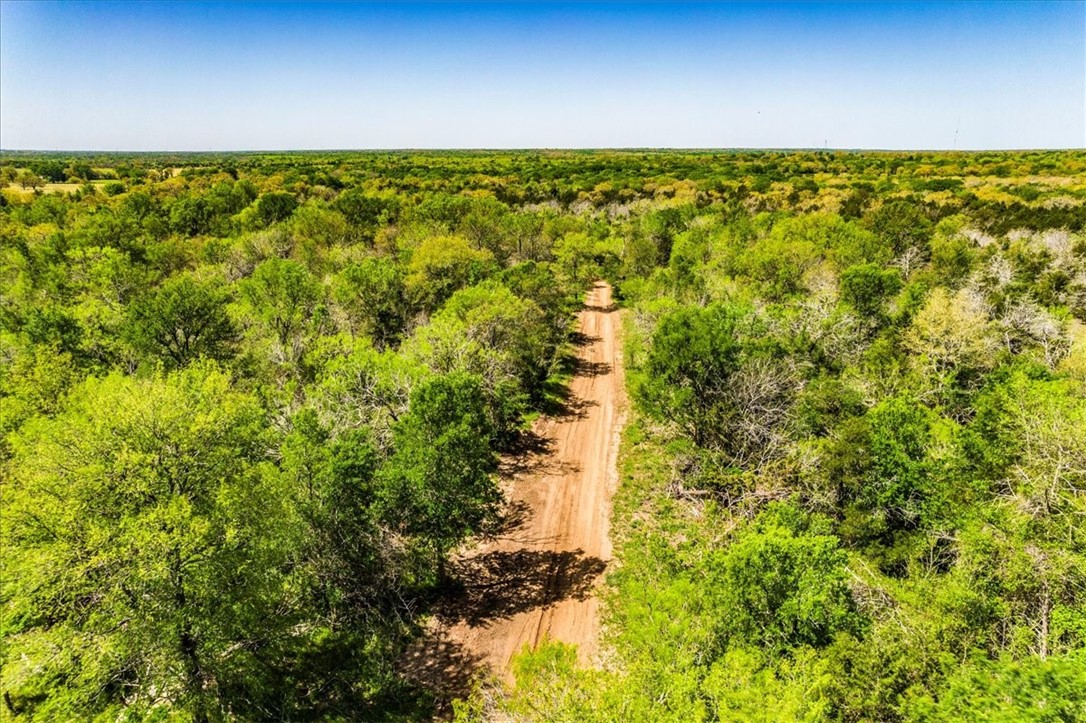 497 Mt Pleasant Road, Unit A Cedar Creek, TX 78612 - Photo 16 of 21 a view of a garden