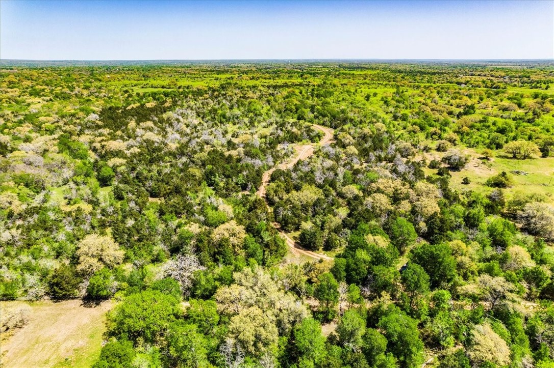497 Mt Pleasant Road, Unit A Cedar Creek, TX 78612 - Photo 20 of 21 a view of a green field
