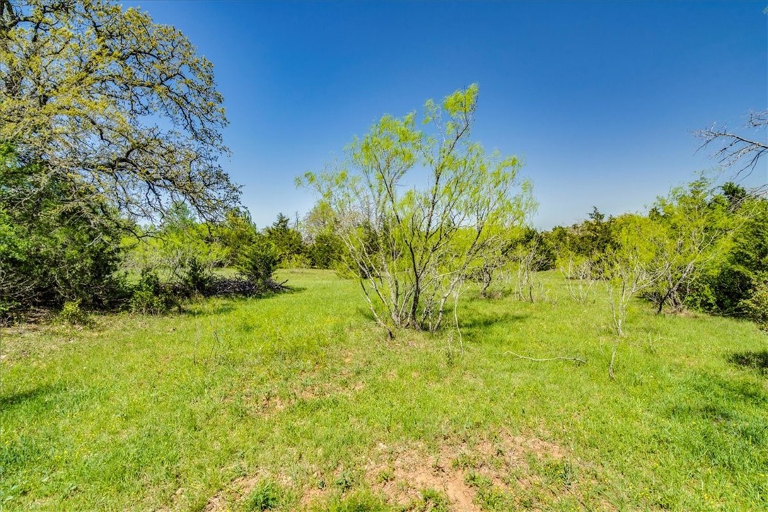 497 Mt Pleasant Road, Unit A Cedar Creek, TX 78612 - Photo 7 of 21 a view of a garden