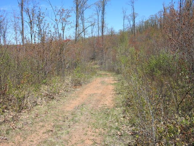 19081 Erickson Drive Dunbar, WI 54119 - Photo 26 of 87