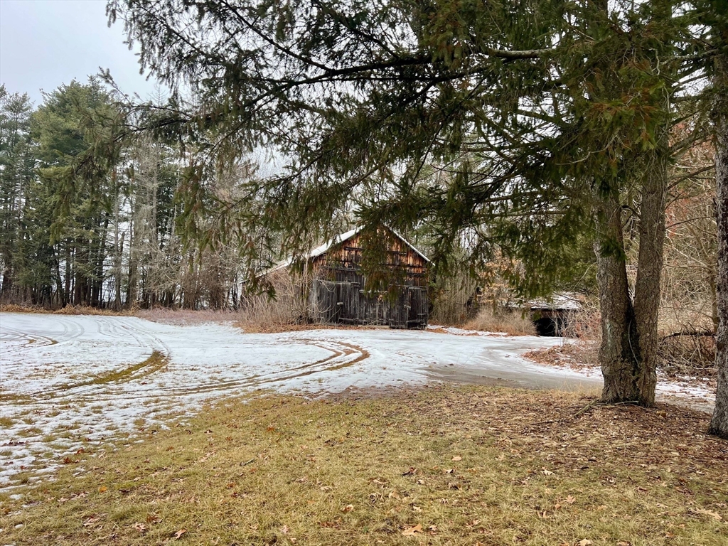a view of a yard with a tree