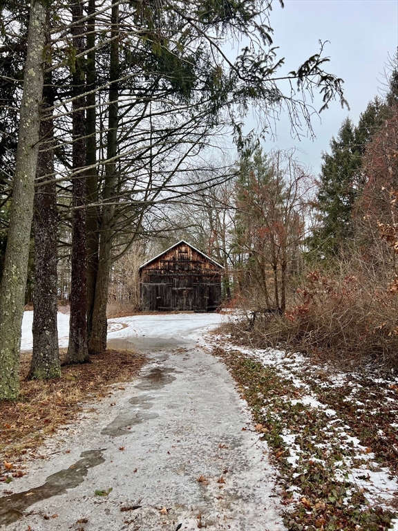 Lot 3 Roosevelt Street Hadley, MA 01035 - Photo 2 of 2 a view of road and trees