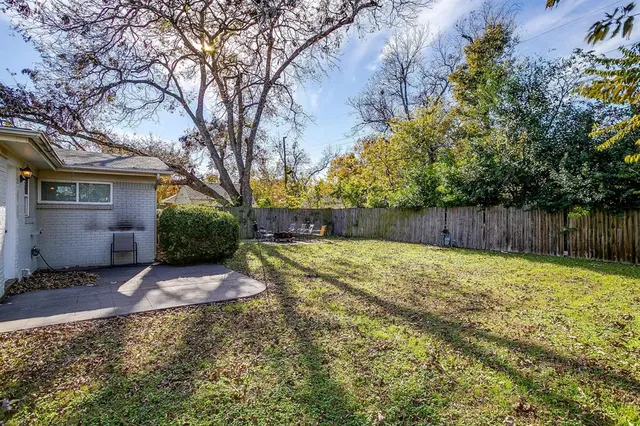 a view of backyard with tree