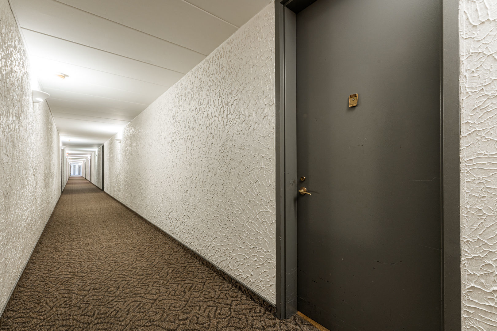 16 East Old Willow Road, Unit 210S Prospect Heights, IL 60070 - Photo 7 of 33