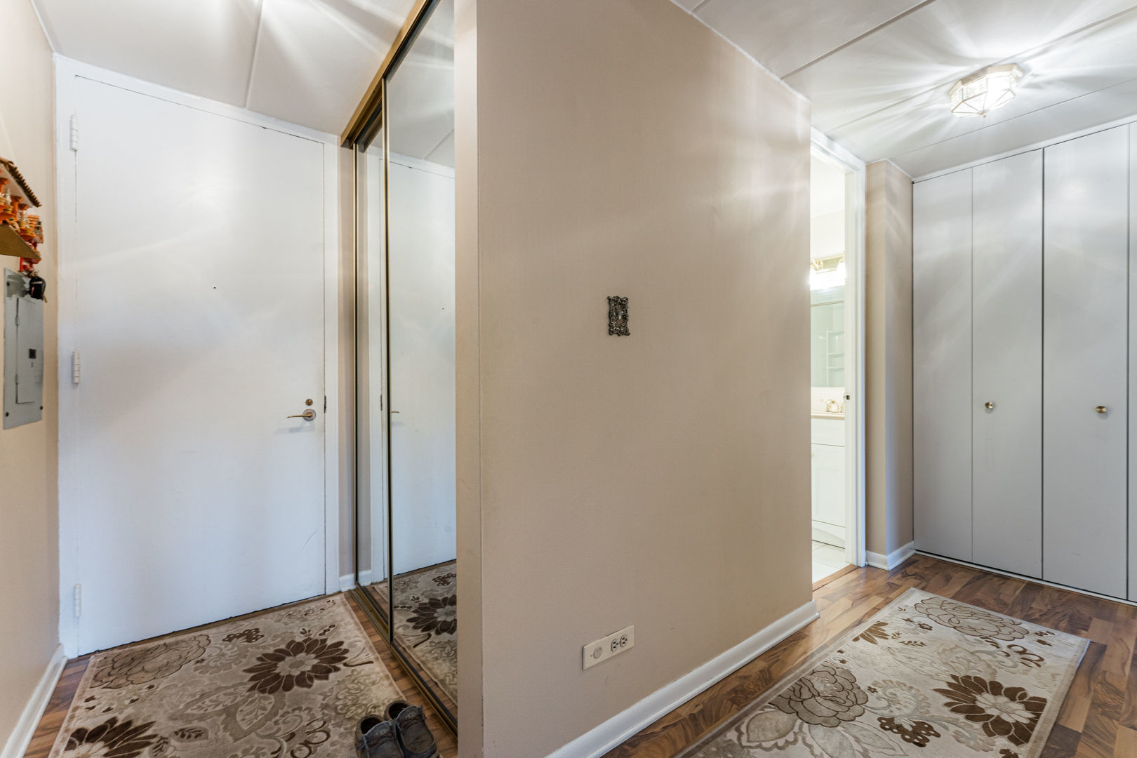 16 East Old Willow Road, Unit 210S Prospect Heights, IL 60070 - Photo 8 of 33