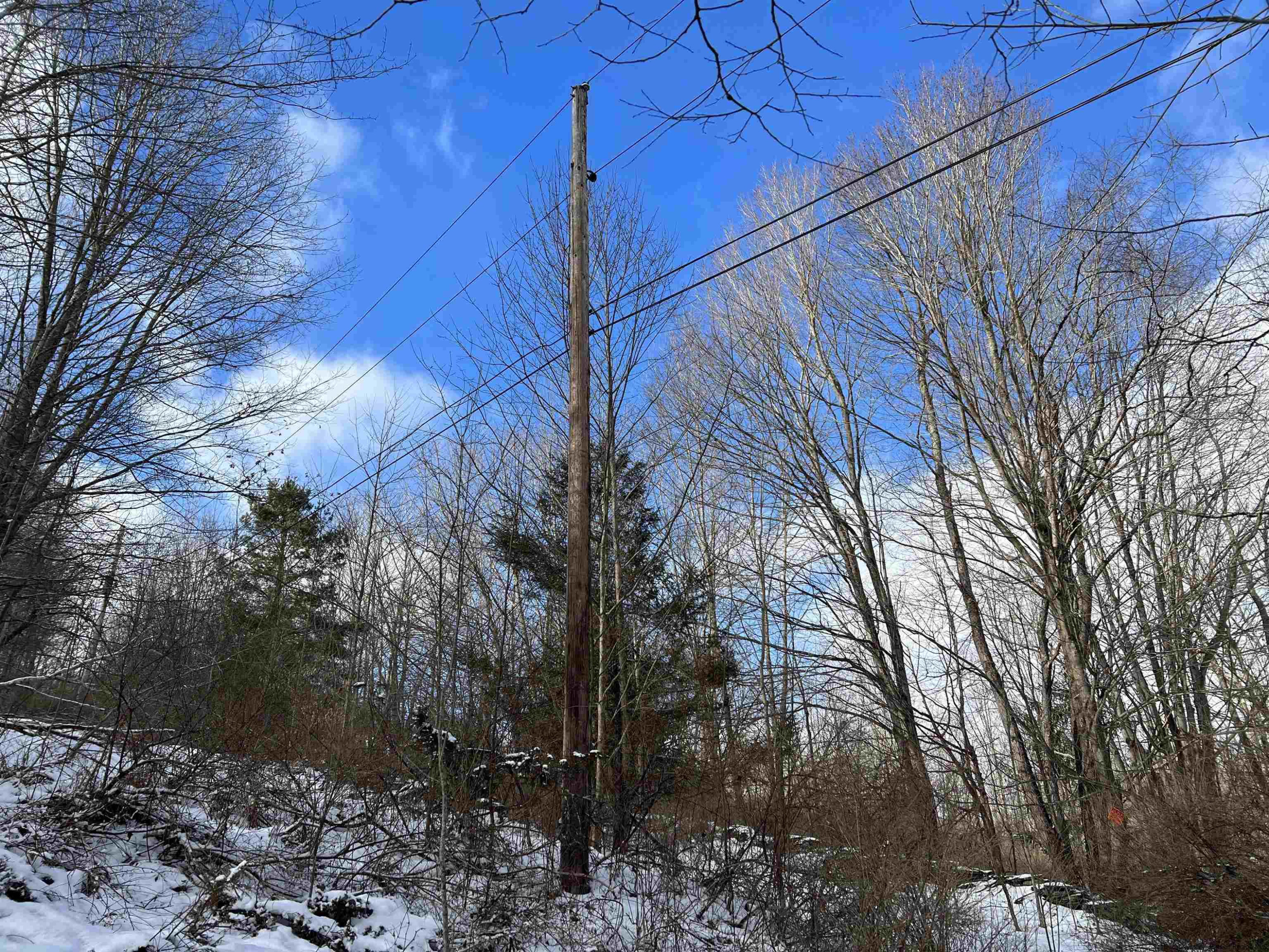 8-11 Henry Williams Road Roxbury, NY 12474 - Photo 20 of 23 Photo 12