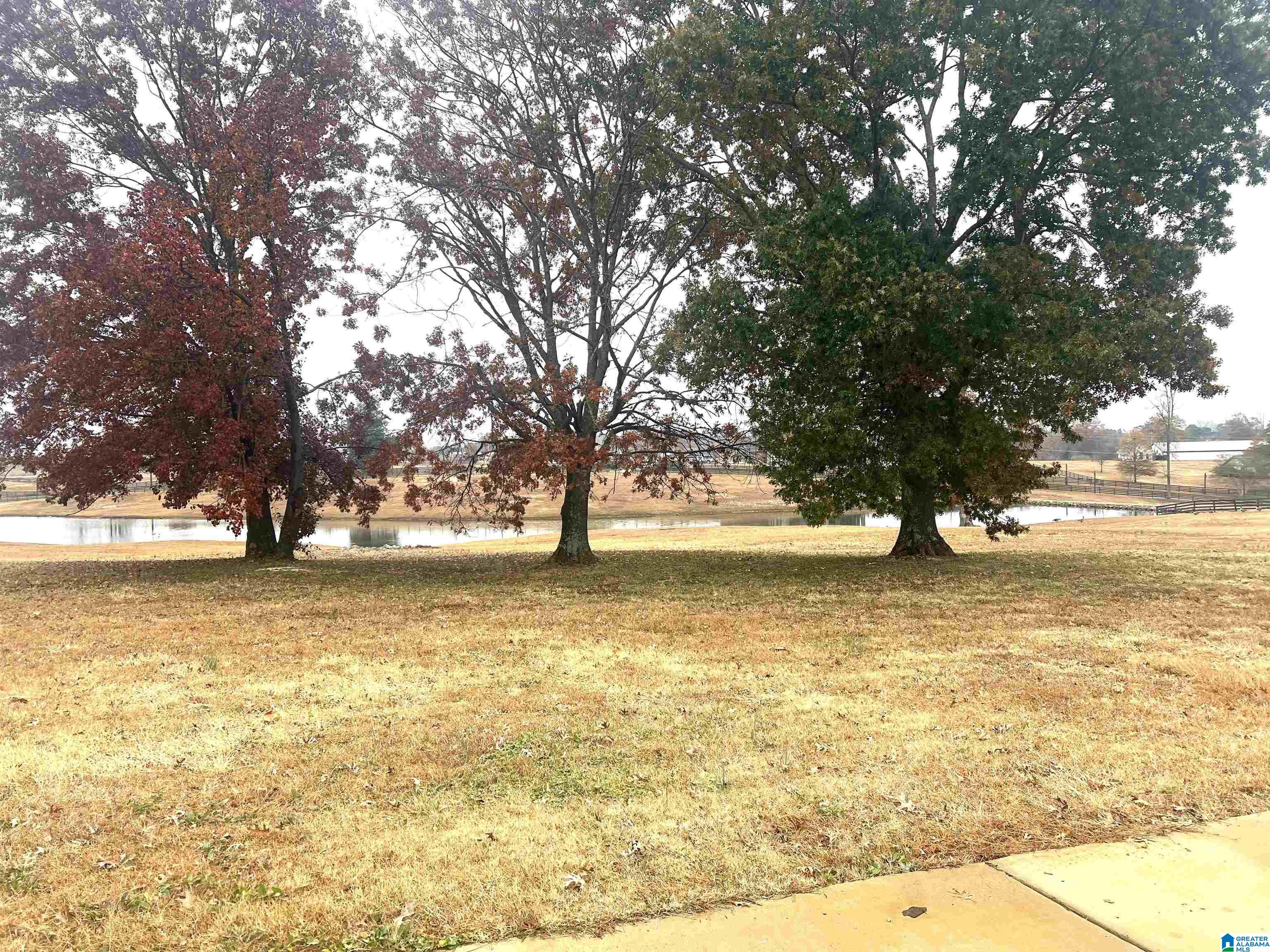 Lot 2 County Road 706, Unit 2 Cullman, AL 35055 - Photo 19 of 30