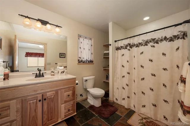 a bathroom with a sink a toilet a mirror a vanity and shower curtain
