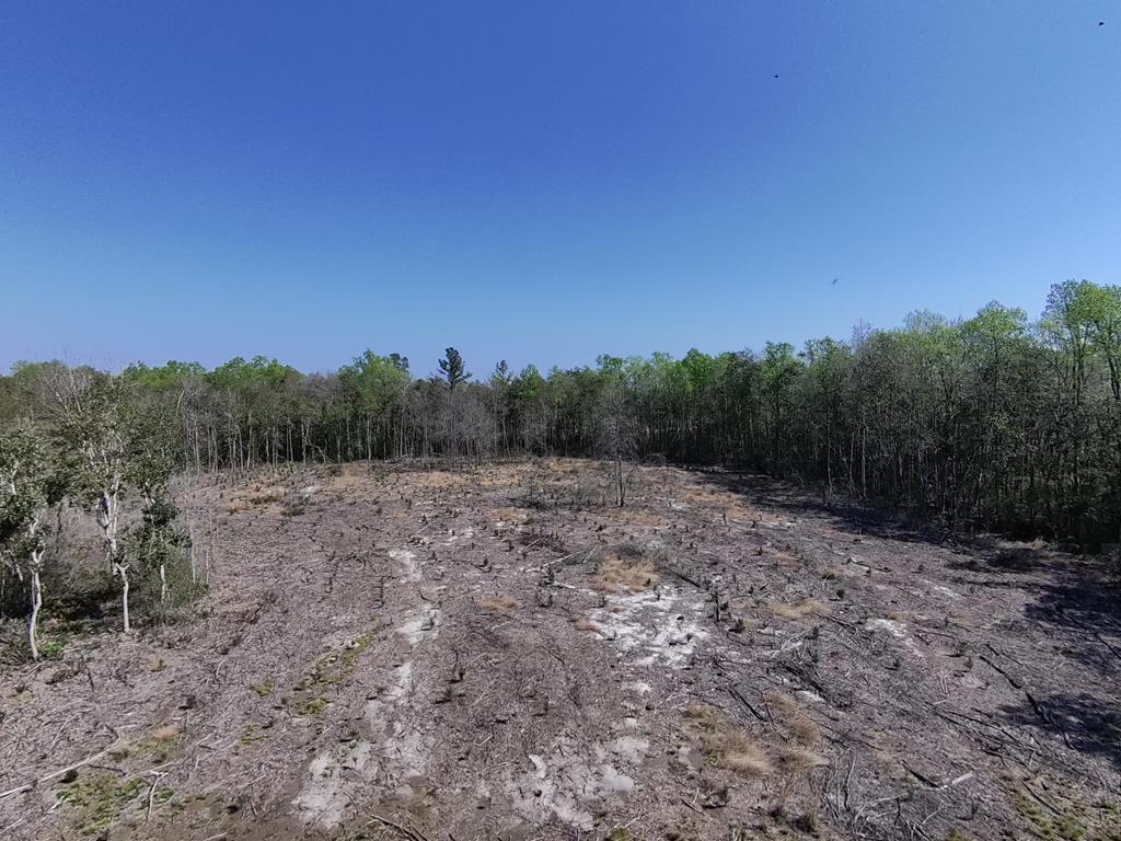 87 Highway 87 Samson, AL 36477 - Photo 13 of 47