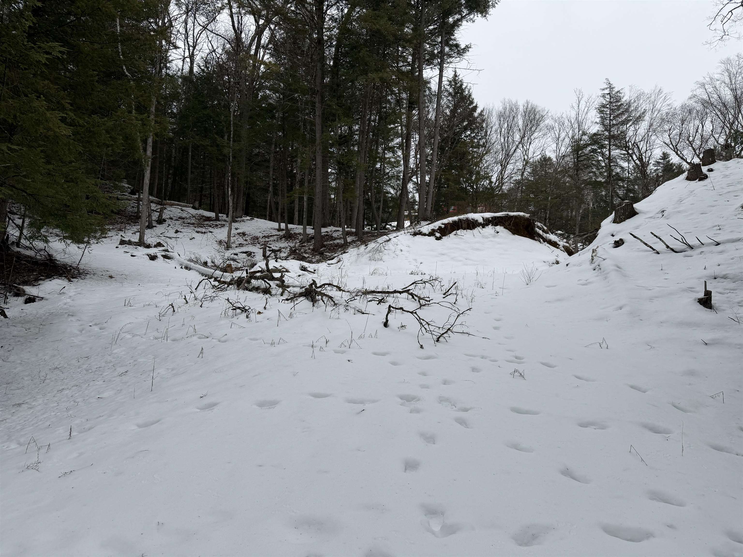 0 Wetherbee Road, Unit 17 Lyman, NH 03585 - Photo 6 of 15