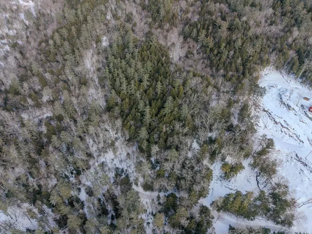 $25,000 | 0 Wetherbee Road, Unit 17, Lyman, NH 03585